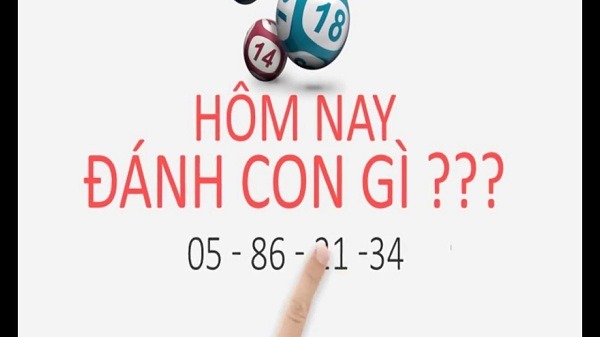 Hướng dẫn cách đánh lô đề 3 miền dễ trúng nhất!